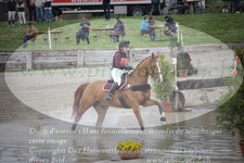 ref. photo 3082329