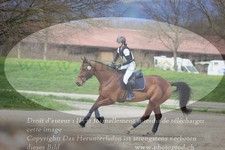 ref. photo 3082354