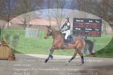 ref. photo 3082355