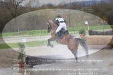ref. photo 3082360