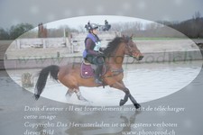 ref. photo 3082372