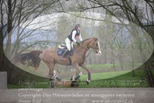 ref. photo 3082406