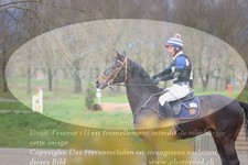 ref. photo 3082438