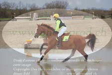 ref. photo 3082520