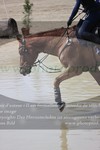 ref. photo 3082539