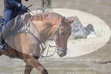 ref. photo 3082541