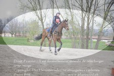 ref. photo 3082542