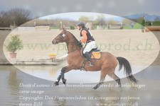 ref. photo 3082560