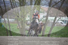 ref. photo 3082578