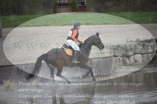 ref. photo 3082582