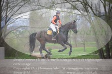 ref. photo 3082592