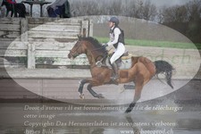 ref. photo 3082602