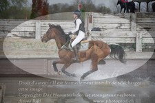 ref. photo 3082603