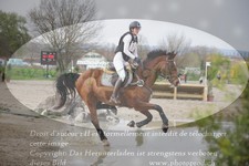 ref. photo 3082608