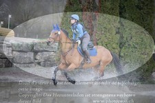ref. photo 3082634