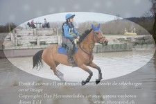 ref. photo 3082642