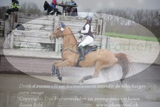 ref. photo 3082650