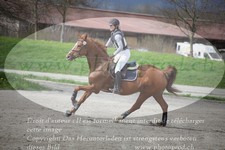 ref. photo 3082696
