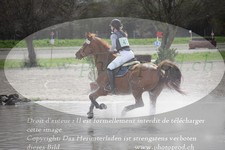 ref. photo 3082700