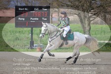 ref. photo 3082754