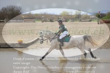 ref. photo 3082757