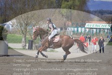 ref. photo 3082805