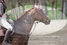 ref. photo 3082811