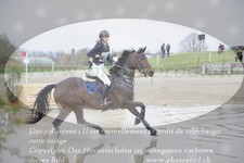 ref. photo 3082905