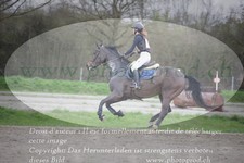 ref. photo 3082913