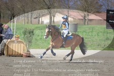 ref. photo 3082932