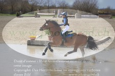 ref. photo 3082937