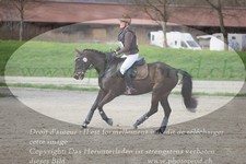 ref. photo 3082951
