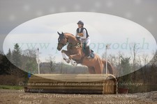 ref. photo 3083035