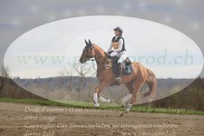 ref. photo 3083036