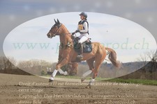 ref. photo 3083037