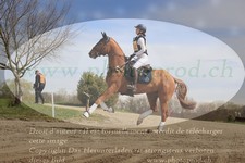ref. photo 3083038