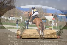 ref. photo 3083039