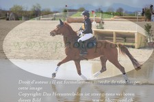 ref. photo 3083080