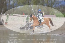 ref. photo 3083090