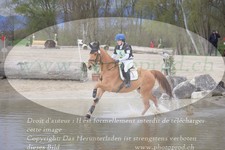 ref. photo 3083091