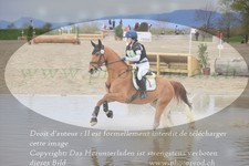 ref. photo 3083092