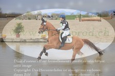 ref. photo 3083093