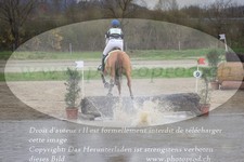 ref. photo 3083095