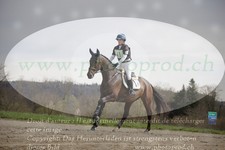 ref. photo 3083103