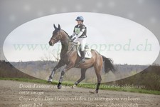 ref. photo 3083104