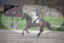 ref. photo 3083106