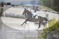 ref. photo 3083108