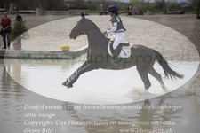 ref. photo 3083110