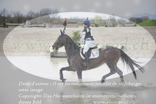 ref. photo 3083118
