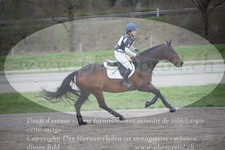 ref. photo 3083125